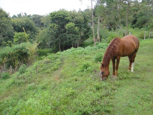 Vereda Bike Park Hotel São João del Rei Eksteriør bilde